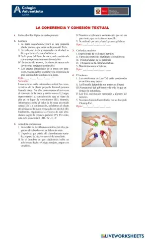 Coherencia y cohesión textual
