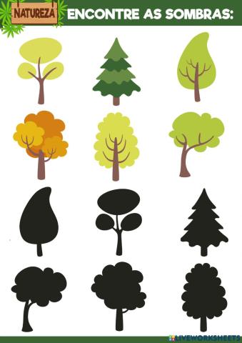 Natureza - Encontre as sombras