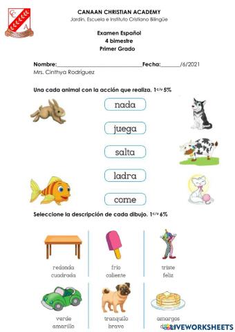 Evaluación de Español 1er Grado