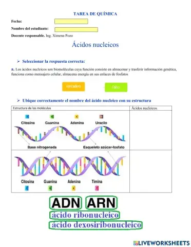 Ácidos nucleicos