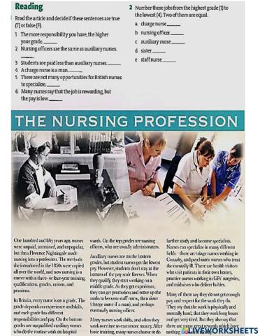The Nursing Profession