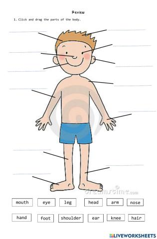 Parts of the body