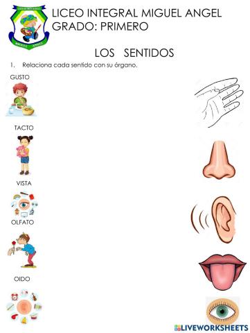 Los sentidos