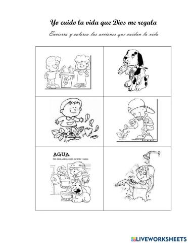Cuido la vida