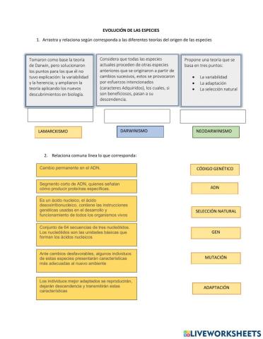 Evolución de las especies