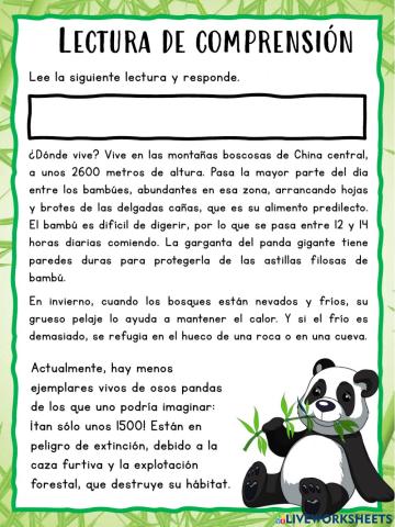 Lectura de comprension: el oso panda