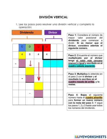 Division vertical