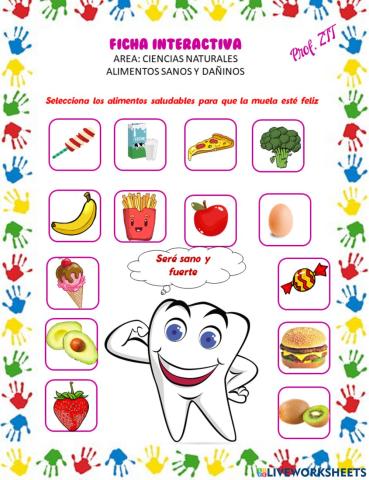 Alimentos sanos