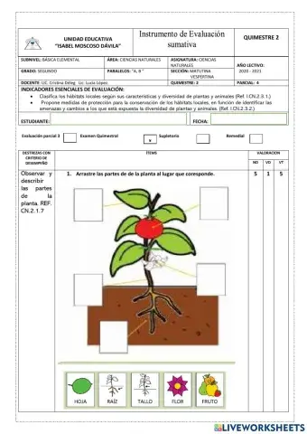 Evaluación segundo quimestre