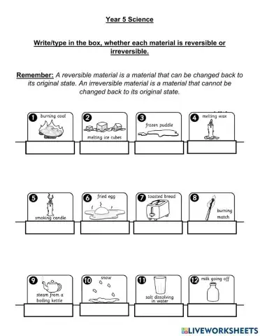 Year 5 Reversible and Irreversible Changes