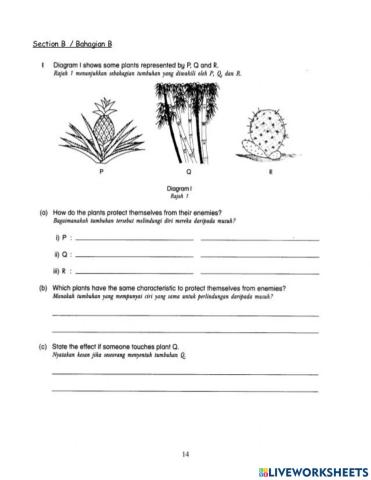 Cara tumbuhan melindungi dari musuh