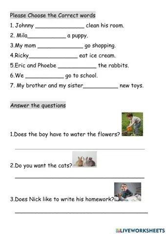 Has to-want to-like to-like-want-has-wh-questions