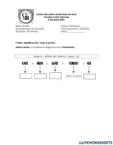 Prueba corta no.1-6grado II Tri