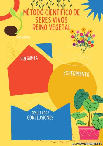 Metodo cientifico de experimentación seres vivos 3er grado