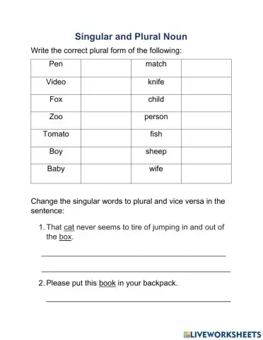 Singular and Plural Noun Revision