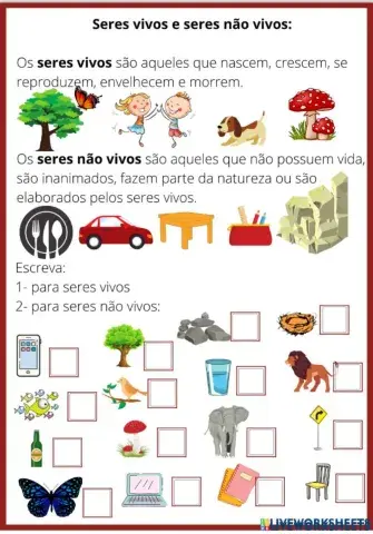Seres Vivos e não vivo