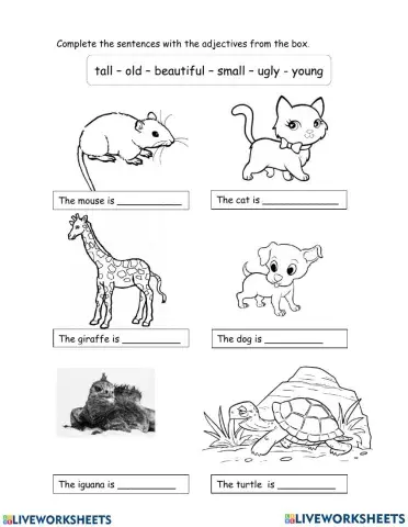 animal adjectives