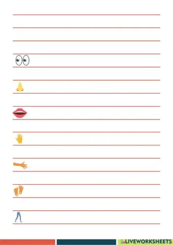 Worksheet body parts