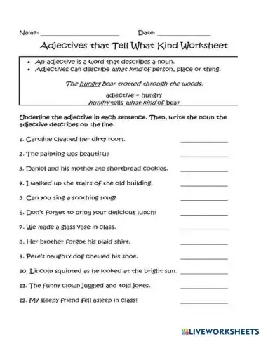 Adjectives that tell what kind