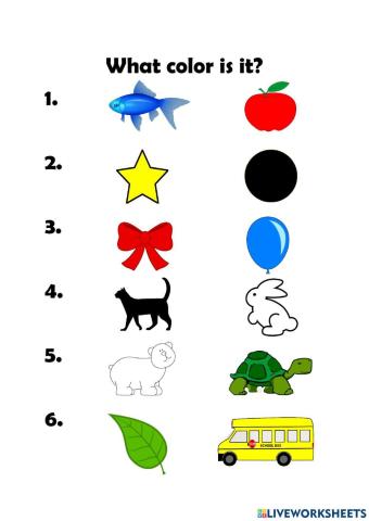 Grade 3 Lesson 6 What Color Is It