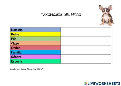 Taxonomía del Perro