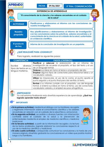 Planificamos y elaboramos el informe con las conclusiones de nuestra investigación.