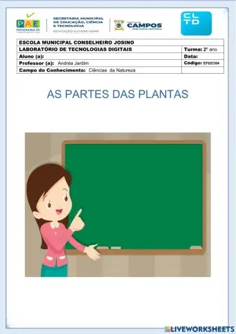 As partes das plantas
