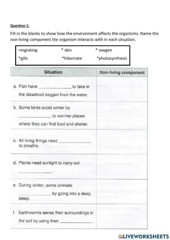 Interdependence between living and non-living