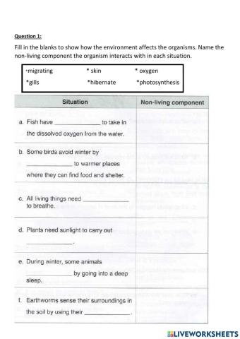 Interdependence between living and non-living