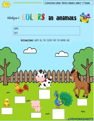 Activity 2. Colors in animals