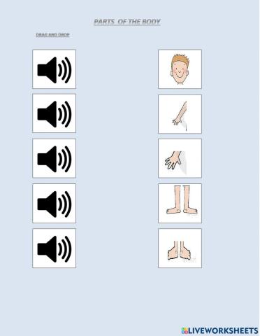 Parts of the body