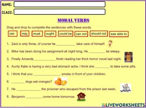 Modal Verb