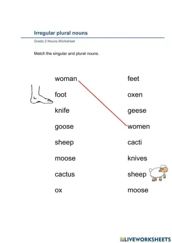 Irregular plural nouns Activity3