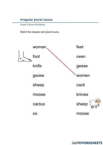 Irregular plural nouns Activity3