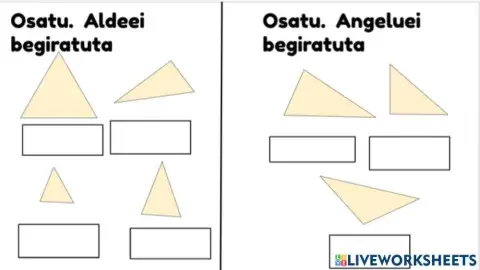 Triangeluen sailkapena