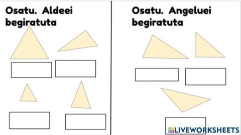 Triangeluen sailkapena