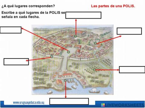 Partes de las polis