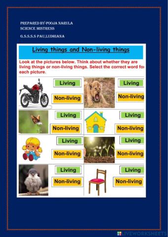Living-non living