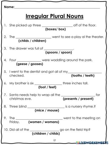 Irregular plural nouns Activity4