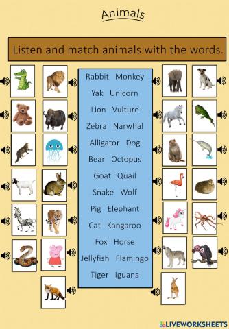 Animal spelling