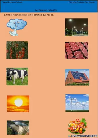Los recursos naturales 1er Grado