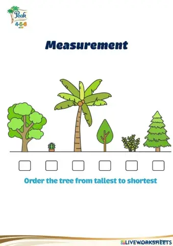 Measurement