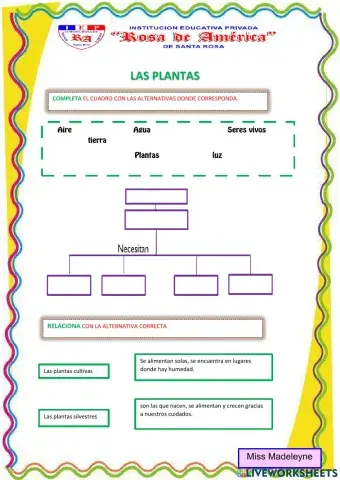 Las plantas