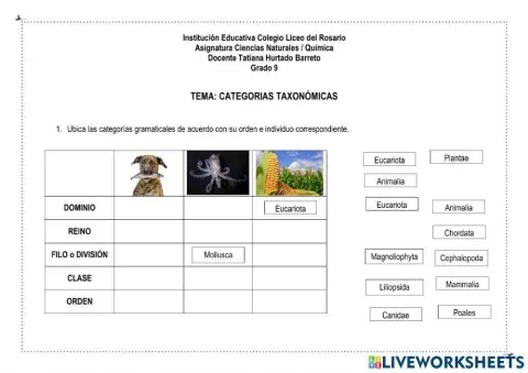 Clasificación taxonómica