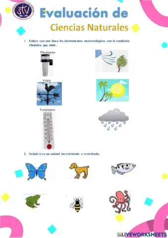 Mezclas, Plantas, materia