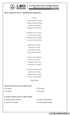 Comprensión de un poema