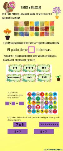 Organización rectangular