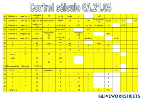 Control càlcul 6A.21.05