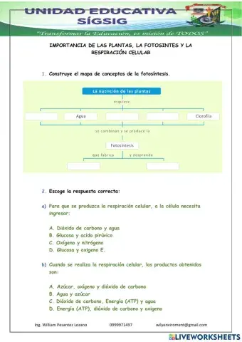 Fotosíntesis y respiración celular