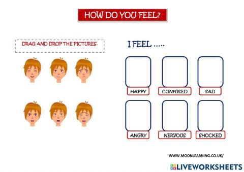 Feelings and emotions